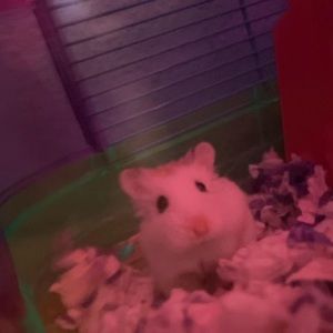 Meet your Posher, Mckenna rene